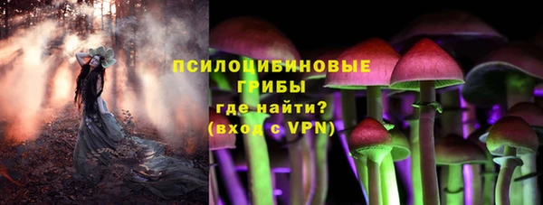 соль ск Белокуриха