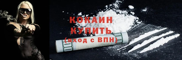 соль ск Белокуриха
