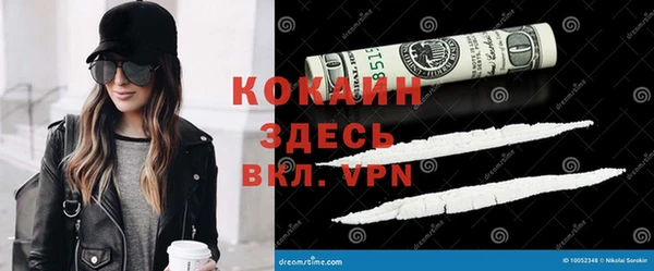 соль ск Белокуриха