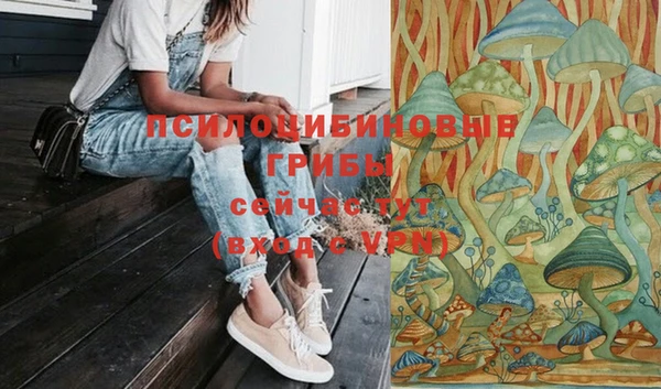 соль ск Белокуриха