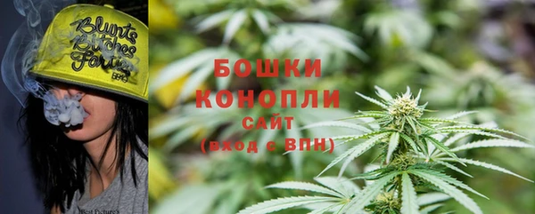 соль ск Белокуриха