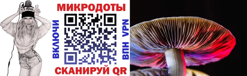 Псилоцибиновые грибы мухоморы  Дальнегорск 